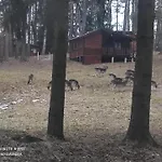 Lodge Oleandria-,, Poziomeczka