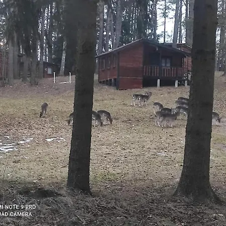 Lodge Oleandria-,, Poziomeczka