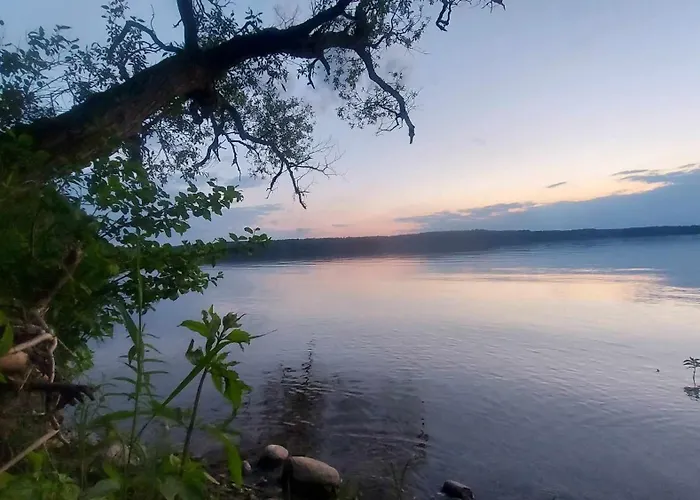 Oleandria-,, Poziomeczka